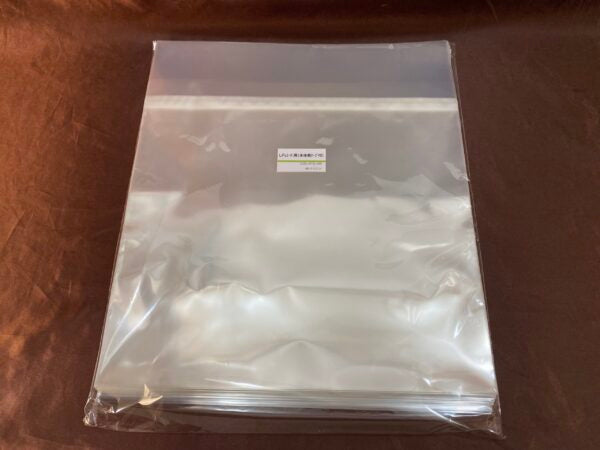 12′ VINYL RECORD OUTER SLEEVE 100 PIECES PACKAGE - NORMAL SIZE